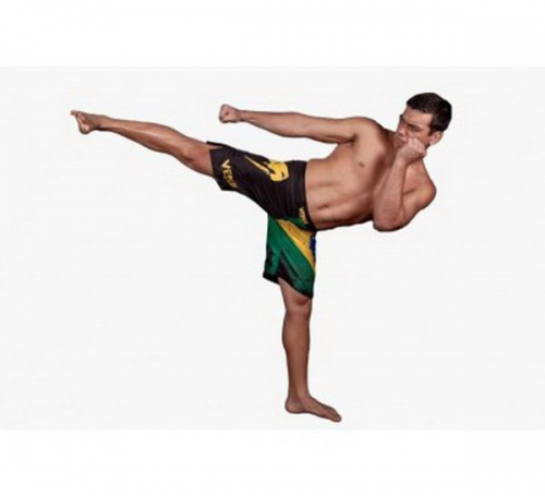Шорты Venum Brazilian Flag Fightshorts - Black размер